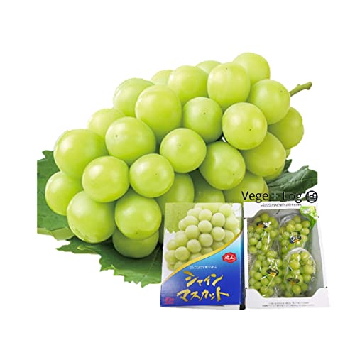 シャインマスカット 2kg 岡山」の人気商品一覧・価格比較 - 価格.com